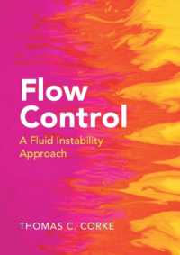 Flow Control : A Fluid Instability Approach