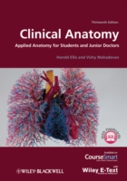 臨床解剖学（第１３版）<br>Clinical Anatomy : Applied Anatomy for Students and Junior Doctors （13TH）