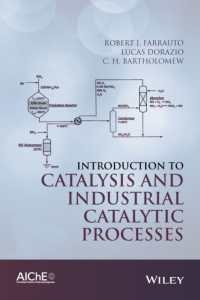 触媒および工業触媒プロセス入門<br>Introduction to Catalysis and Industrial Catalytic Processes