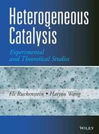 不均一触媒<br>Heterogeneous Catalysis : Experimental and Theoretical Studies