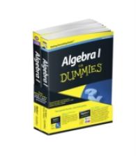 Algebra I for Dummies / 1,001 Algebra I Practice Problems for Dummies (2-Volume Set) (For Dummies (Math & Science)) （2 PCK PAP/）