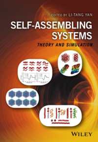 自己組織化システム：理論とシミュレーション<br>Self-Assembling Systems : Theory and Simulation