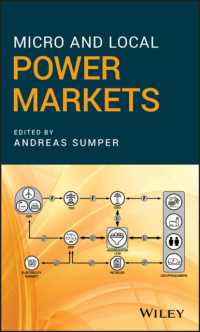 ミクロ・地域電力市場<br>Micro and Local Power Markets