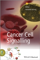癌細胞シグナリング<br>Cancer Cell Signalling （1ST）