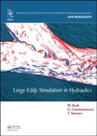 Large-Eddy Simulation in Hydraulics (Iahr Monographs)