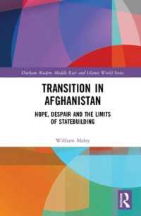 Transition in Afghanistan : Hope, Despair and the Limits of Statebuilding (Durham Modern Middle East and Islamic World Series)