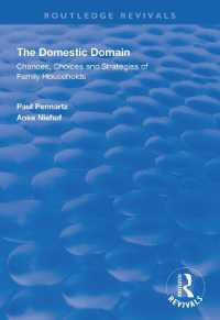 The Domestic Domain : Chances, Choices and Strategies of Family Households (Routledge Revivals)