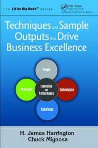 Techniques and Sample Outputs that Drive Business Excellence (The Little Big Book Series)