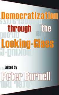 Democratization through the Looking-glass