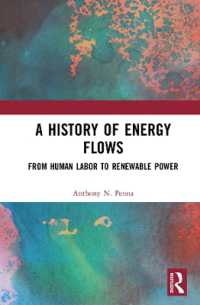 A History of Energy Flows : From Human Labor to Renewable Power