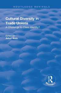 Cultural Diversity in Trade Unions : A Challenge to Class Identity?