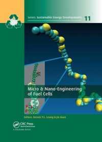 Micro & Nano-Engineering of Fuel Cells (Sustainable Energy Developments)