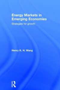 途上国経済におけるエネルギー市場<br>Energy Markets in Emerging Economies : Strategies for growth