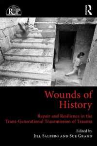 Wounds of History : Repair and Resilience in the Trans-Generational Transmission of Trauma (Relational Perspectives Book Series)