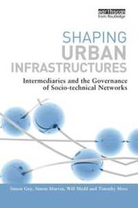 Shaping Urban Infrastructures : Intermediaries and the Governance of Socio-Technical Networks