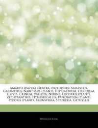 Articles on Amaryllidaceae Genera, Including : Amaryllis, Galanthus, Narcissus (Plant), Hippeastrum, Leucojum, Clivia, Crinum, Vallota, Nerine, Eucharis (Plant), Zephyranthes, Hymenocallis, Pancratium (Plant), Lycoris (Plant), Brunsvigia