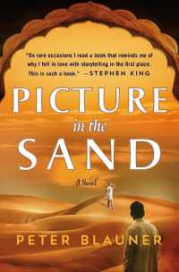 Picture in the Sand -- Hardback (English Language Edition)