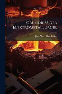 Grundriss der Elektrometallurgie.