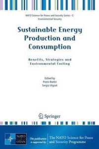 Sustainable Energy Production and Consumption: Benefits, Strategies and Environmental Costing. NATO Science for Peace and Security Series. (NATO Science for Peace and Security)
