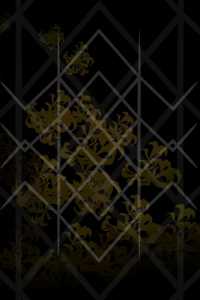 ᚱᚢᚾᛖᛋ? Runes.: Author Liagis Margfirar, Edited by Laurie Asra Sottilaro, Foreword by Travis Wells