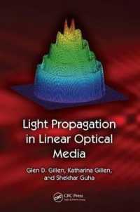Light Propagation in Linear Optical Media