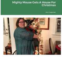 Mighty Mouse Gets A House For Christmas (Embrace Different Dogs")