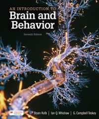 An Introduction to Brain and Behavior （7TH）