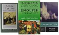 Norton Anthology of English Literature 10e Core Selections Ebook, + NAEL 10e Vol F, + Frankenstein NCE 3e, + Mary Barton NCE