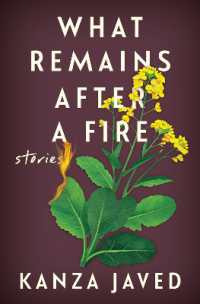 What Remains after a Fire : Stories