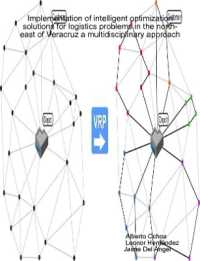 Implementation of intelligent optimization solutions for logistics problems in the north-east of Veracruz: a multidisciplinary approach