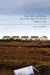 Form, Affect and Debt in Post-Celtic Tiger Irish Fiction : Ireland in Crisis