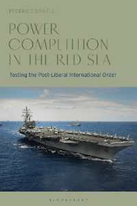 Power Competition in the Red Sea : Testing the Post-Liberal International Order