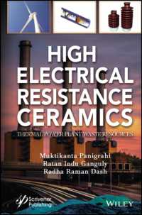 High Electrical Resistance Ceramics : Thermal Power Plant Waste Resources