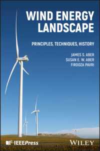 Wind Energy Landscape : Principles, Techniques, History