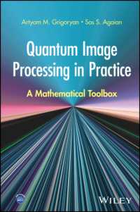 Quantum Image Processing in Practice : A Mathematical Toolbox