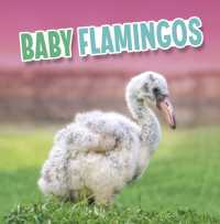 Baby Flamingos (Baby Animals)