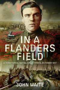 In a Flanders Field : A Territorial Battalion at Ypres, October 1917