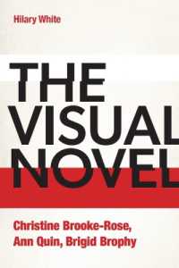 The Visual Novel : Christine Brooke-Rose, Ann Quin, Brigid Brophy