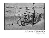 ...IN SUNNY PORTOBELLO