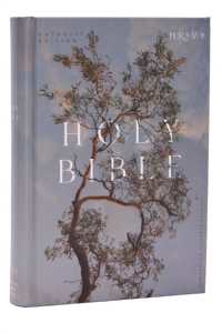 NRSV Catholic Edition Bible, Eucalyptus Hardcover (Global Cover Series) : Holy Bible