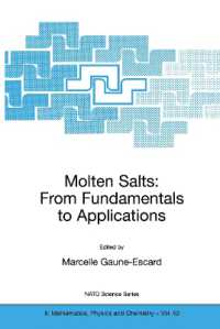 Molten Salts : From Fundamentals to Applications (NATO Science Series, Series 2 : Mathematics, Physics and Chemistry, Volume 52)