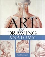 The Art of Drawing Anatomy