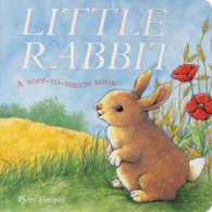 Little Rabbit -- Board book （New ed）