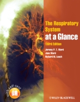 The Respiratory System at a Glance (At a Glance) （3RD）