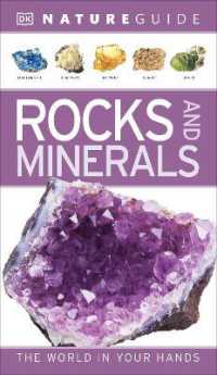 Nature Guide Rocks and Minerals : The World in Your Hands (Dk Nature Guides)