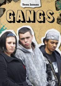 Gangs (Teen Issues) -- Paperback