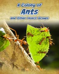 A Colony of Ants: and Other Insect Groups (Animals in Groups)