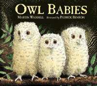 Owl Babies （Board Book）