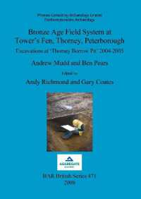 Bronze Age field system at Tower's Fen, Thorney, Peterborough : Excavations at 'Thorney Borrow Pit' 2004-2005
