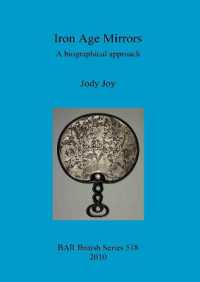 Iron Age Mirrors : A biographical approach